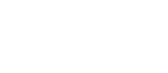 Bora Koleji